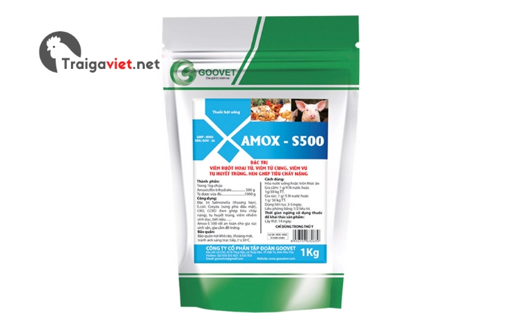 Thuốc Amox S500