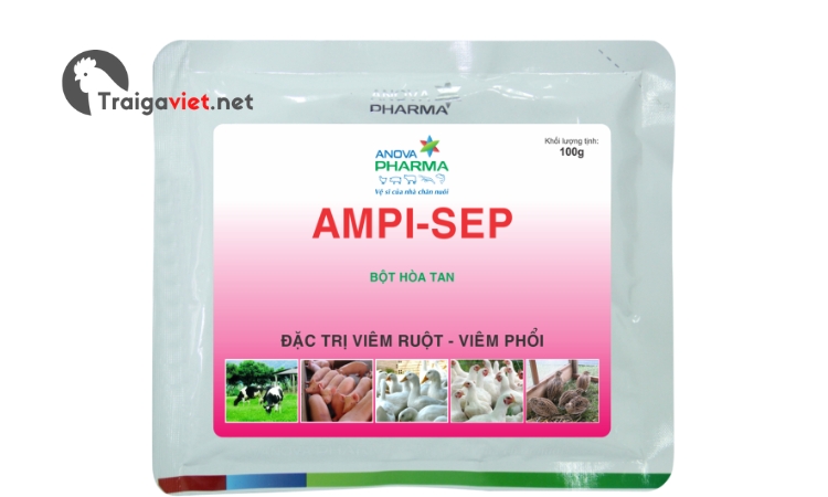Thuốc Ampicillin AMPI-SEP