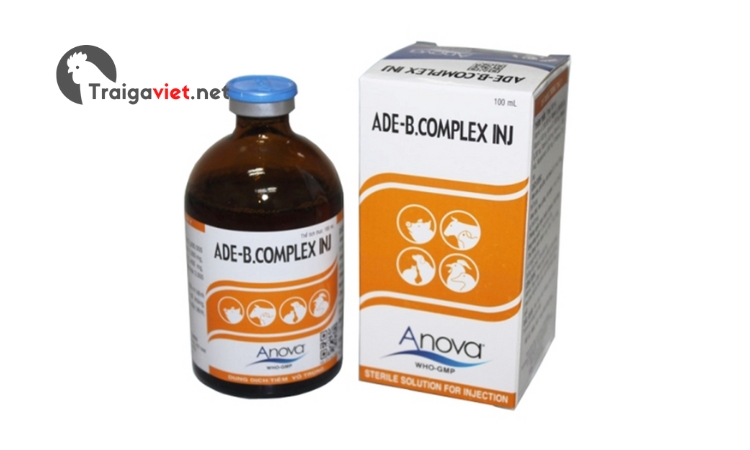 Thuốc ADE - B Complex INJ