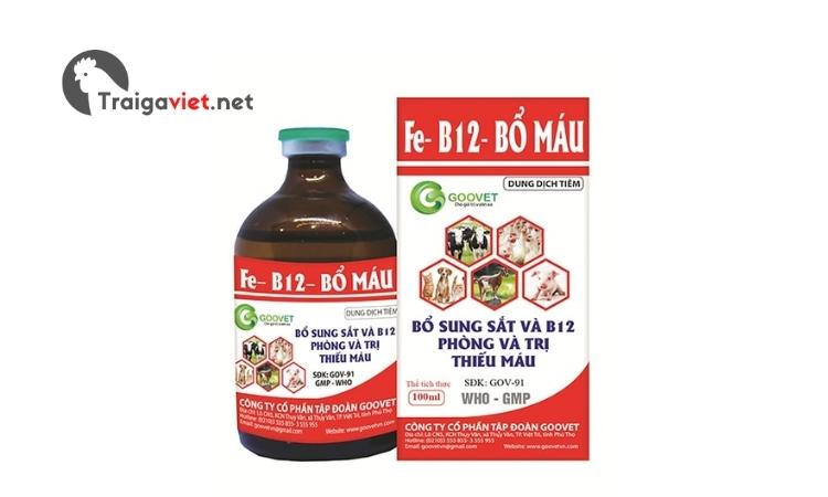 Thuốc Fe-B12 - Bổ máu