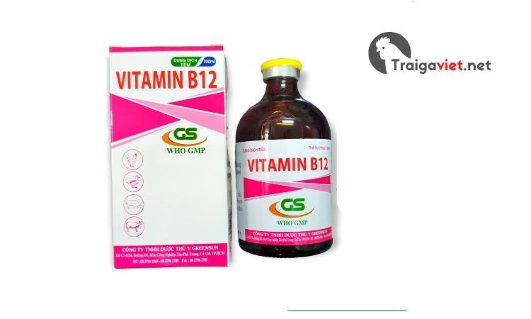 Thuốc VITAMIN B12