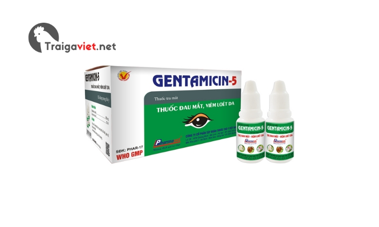 GENTAMICIN-5 được dùng trong điều trị các triệu chứng bệnh về mắt