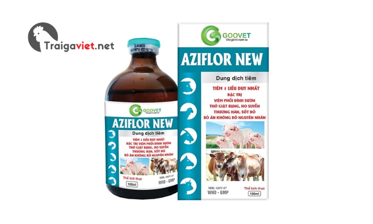 Thuốc Aziflor New