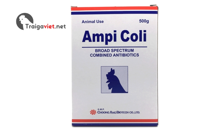 Thuốc cho gà Ampi-Coli 