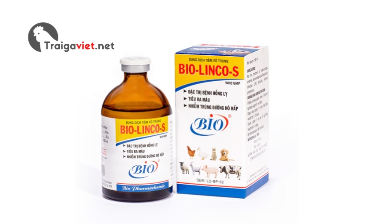 Thuốc Bio Linco S hỗ trợ điều trị các bệnh liên quan đến hô hấp 