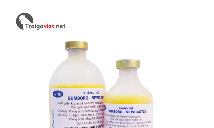 Thuốc Kháng thể Gumboro - Newcastle Vinoda