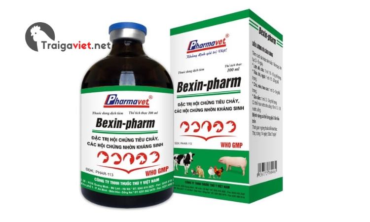 Thuốc Bexin-pharm - Đặc trị hội chứng tiêu chảy ở gà
